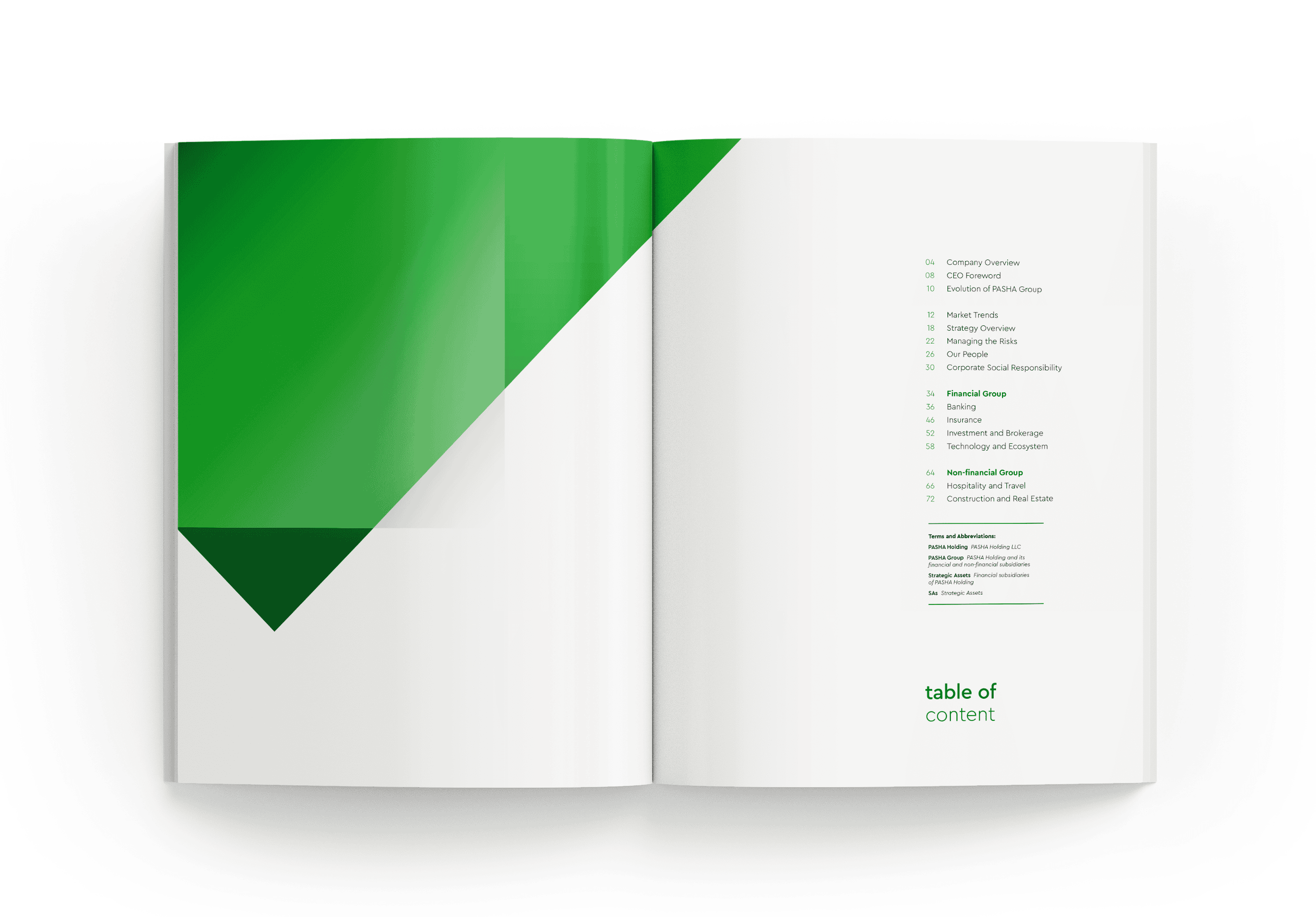 Annual Report for PASHA Holding 2.png