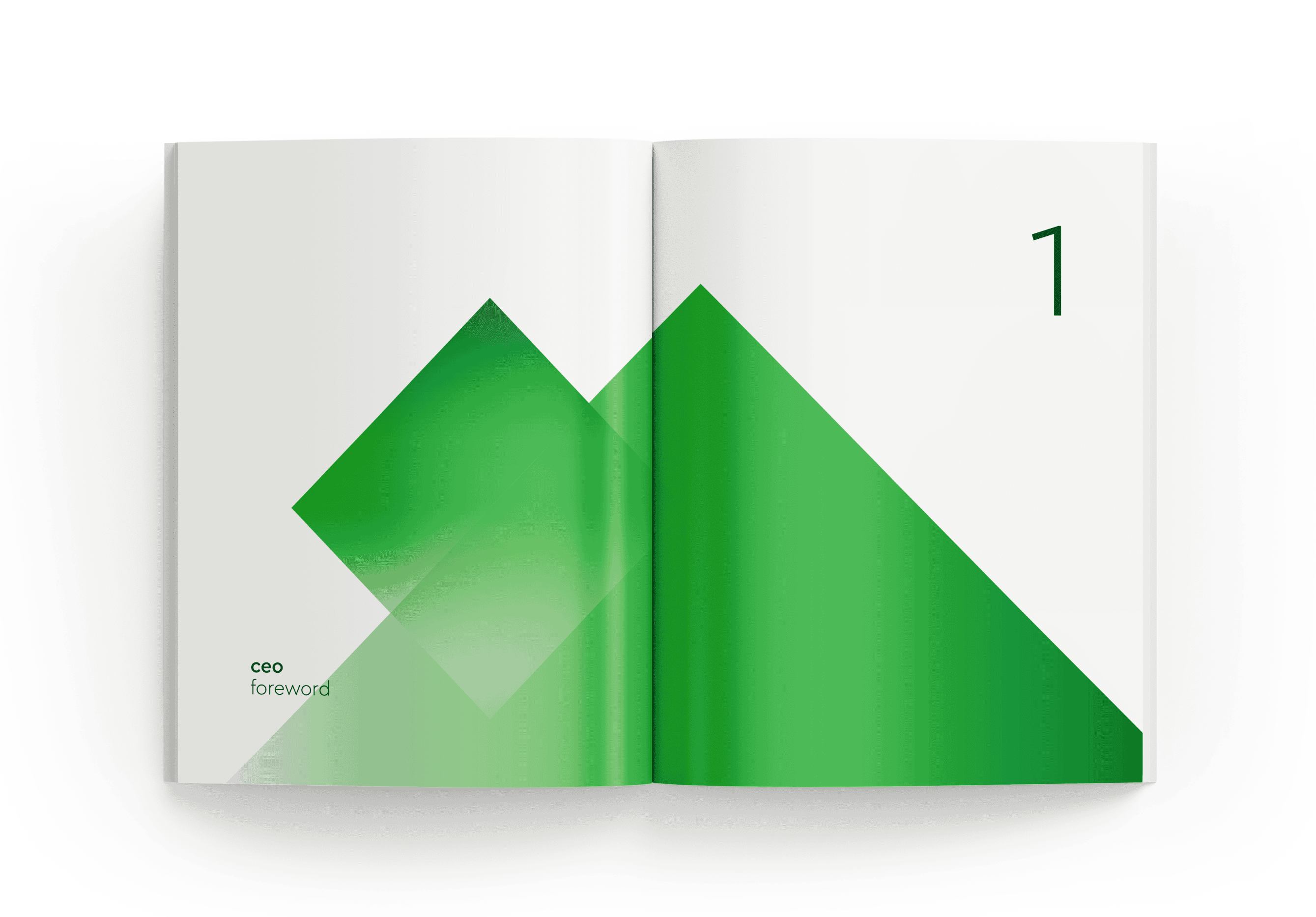 Annual Report for PASHA Holding 4.png