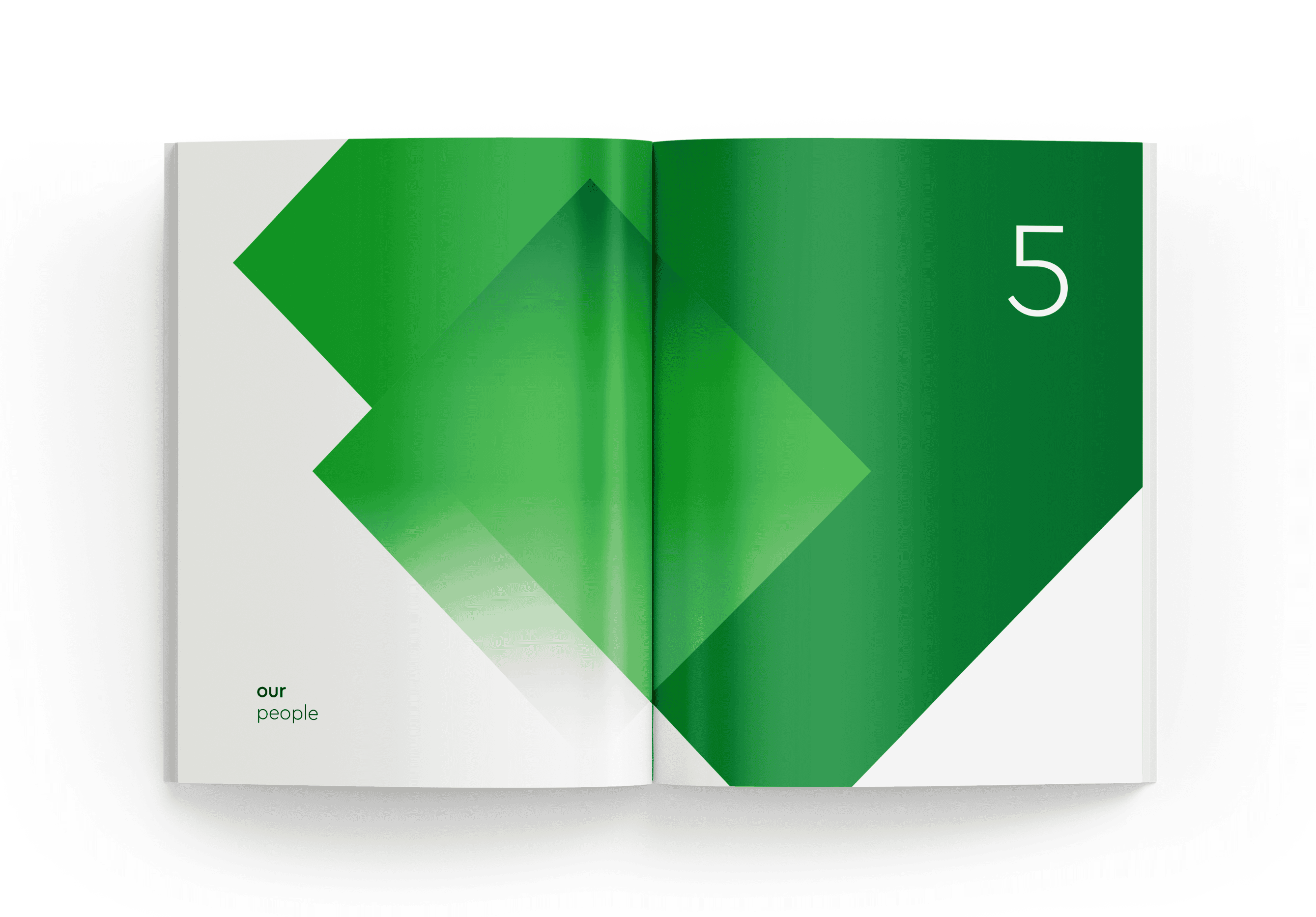 Annual Report for PASHA Holding 8.png